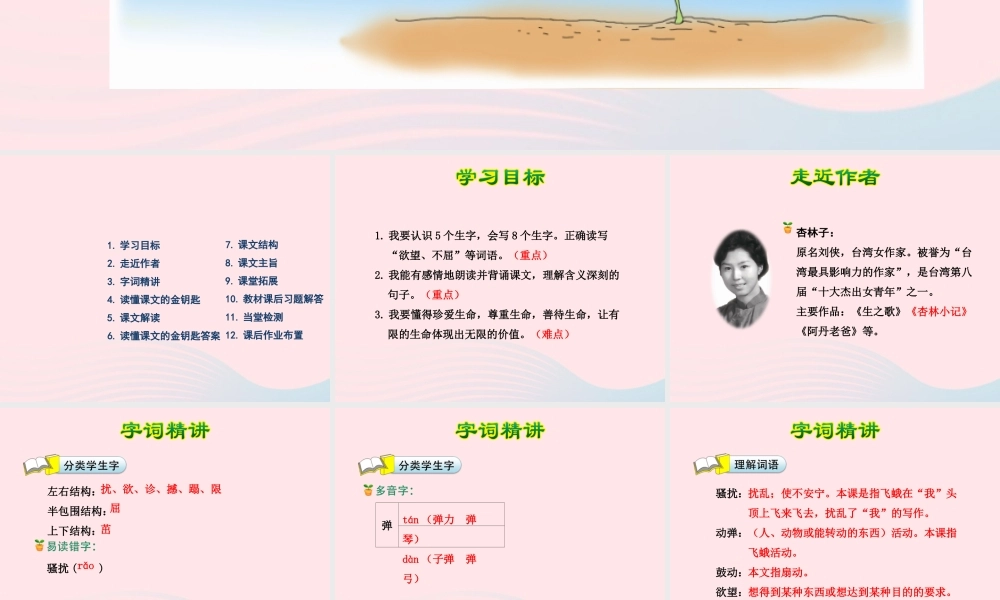 四年级语文下册 第五单元 19 生命生命（第1课时）课件 新人教版-新人教版小学四年级下册语文课件