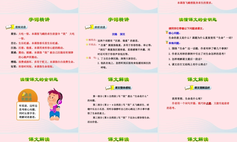 四年级语文下册 第五单元 19 生命生命（第1课时）课件 新人教版-新人教版小学四年级下册语文课件