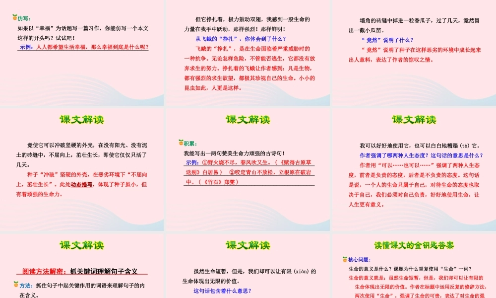 四年级语文下册 第五单元 19 生命生命（第1课时）课件 新人教版-新人教版小学四年级下册语文课件