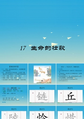 四年级语文下册 17 生命的壮歌课件1 苏教版-苏教版小学四年级下册语文课件