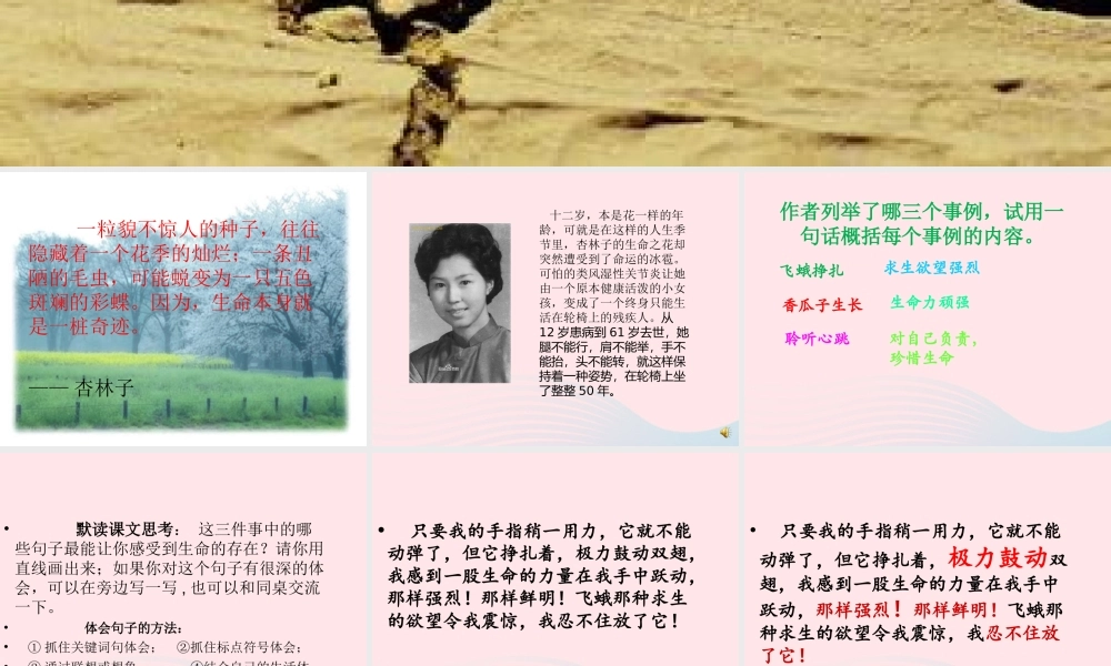 四年级语文下册 第五单元 19 生命生命课件 新人教版-新人教版小学四年级下册语文课件