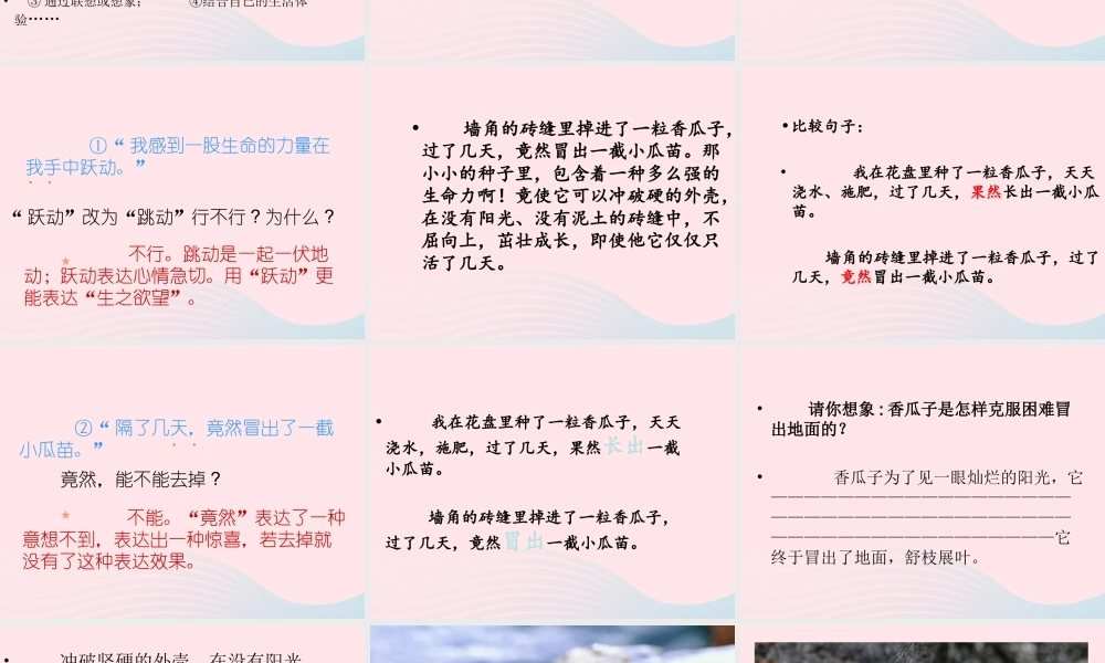 四年级语文下册 第五单元 19 生命生命课件 新人教版-新人教版小学四年级下册语文课件