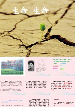四年级语文下册 第五单元 19 生命生命课件 新人教版-新人教版小学四年级下册语文课件