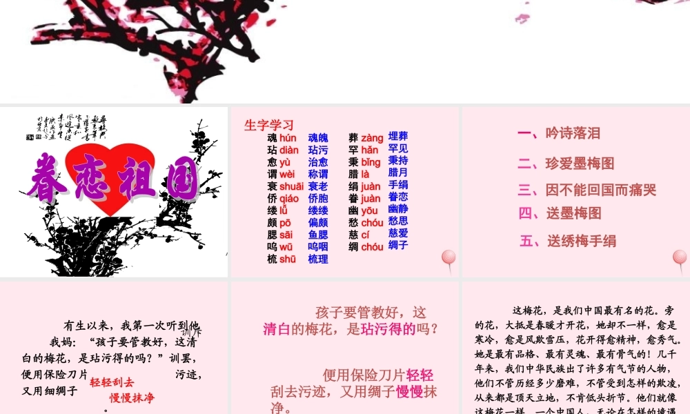 四年级语文上册 第六单元 22《梅花魂》参考课件 鲁教版-鲁教版小学四年级上册语文课件