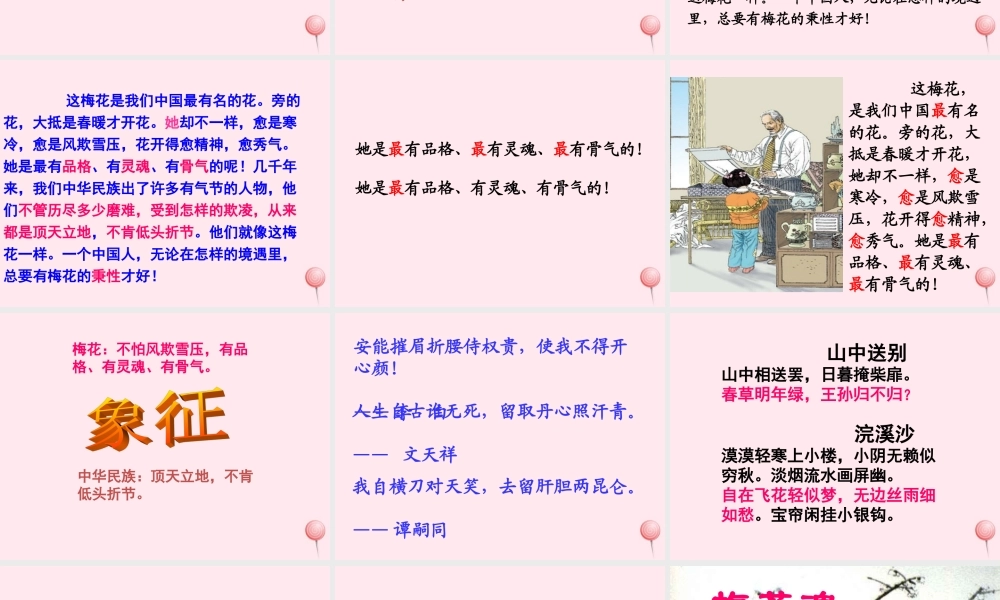 四年级语文上册 第六单元 22《梅花魂》参考课件 鲁教版-鲁教版小学四年级上册语文课件