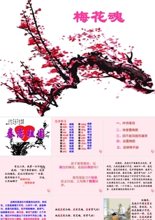四年级语文上册 第六单元 22《梅花魂》参考课件 鲁教版-鲁教版小学四年级上册语文课件