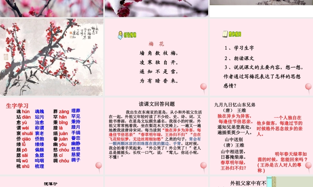 四年级语文上册 第六单元 22《梅花魂》教学课件 鲁教版-鲁教版小学四年级上册语文课件