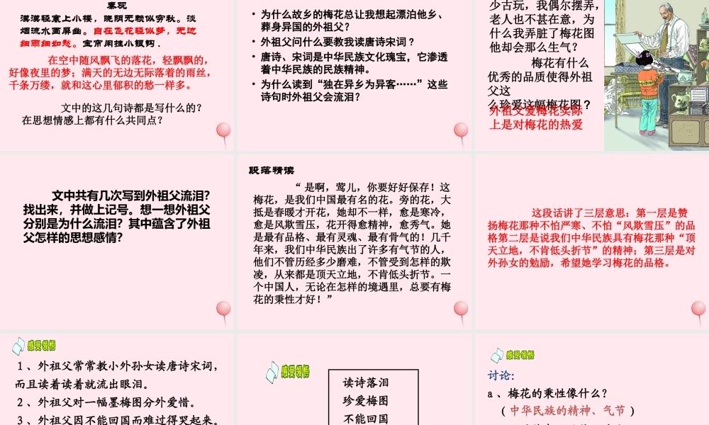 四年级语文上册 第六单元 22《梅花魂》教学课件 鲁教版-鲁教版小学四年级上册语文课件