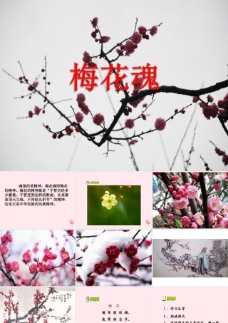 四年级语文上册 第六单元 22《梅花魂》教学课件 鲁教版-鲁教版小学四年级上册语文课件