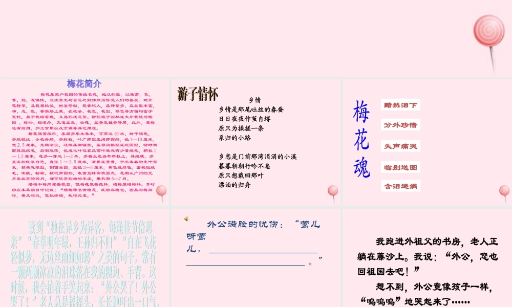 四年级语文上册 第六单元 22《梅花魂》课件 鲁教版-鲁教版小学四年级上册语文课件