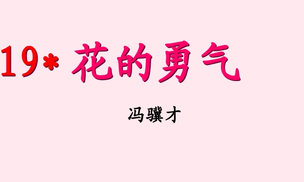 四年级语文下册 第五单元 19《花的勇气》课堂教学课件1 新人教版-新人教版小学四年级下册语文课件