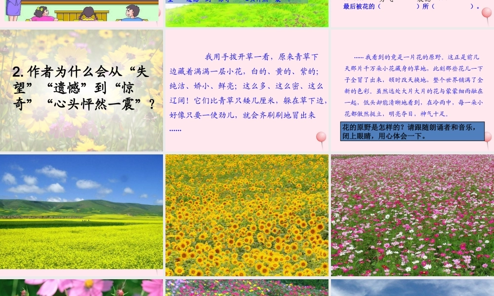 四年级语文下册 第五单元 19《花的勇气》课堂教学课件1 新人教版-新人教版小学四年级下册语文课件