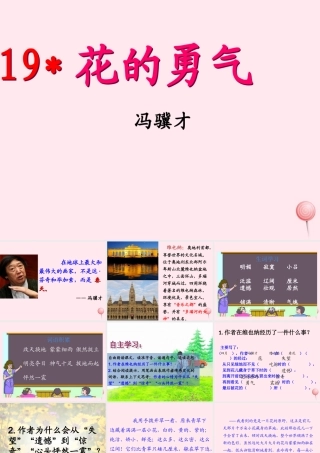 四年级语文下册 第五单元 19《花的勇气》课堂教学课件1 新人教版-新人教版小学四年级下册语文课件