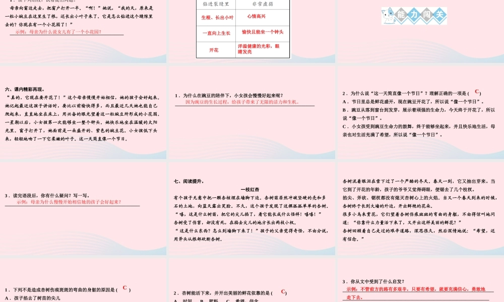 四年级语文上册 第二单元 5一个豆荚里的五粒豆作业课件 新人教版-新人教版小学四年级上册语文课件