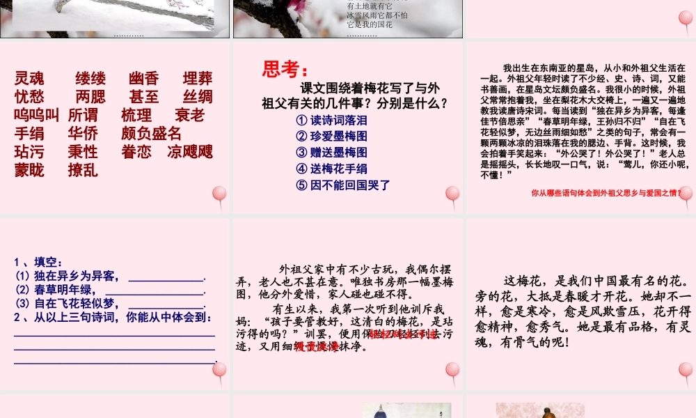 四年级语文上册 第六单元 22《梅花魂》优培课件 鲁教版-鲁教版小学四年级上册语文课件