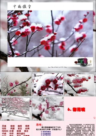四年级语文上册 第六单元 22《梅花魂》优培课件 鲁教版-鲁教版小学四年级上册语文课件