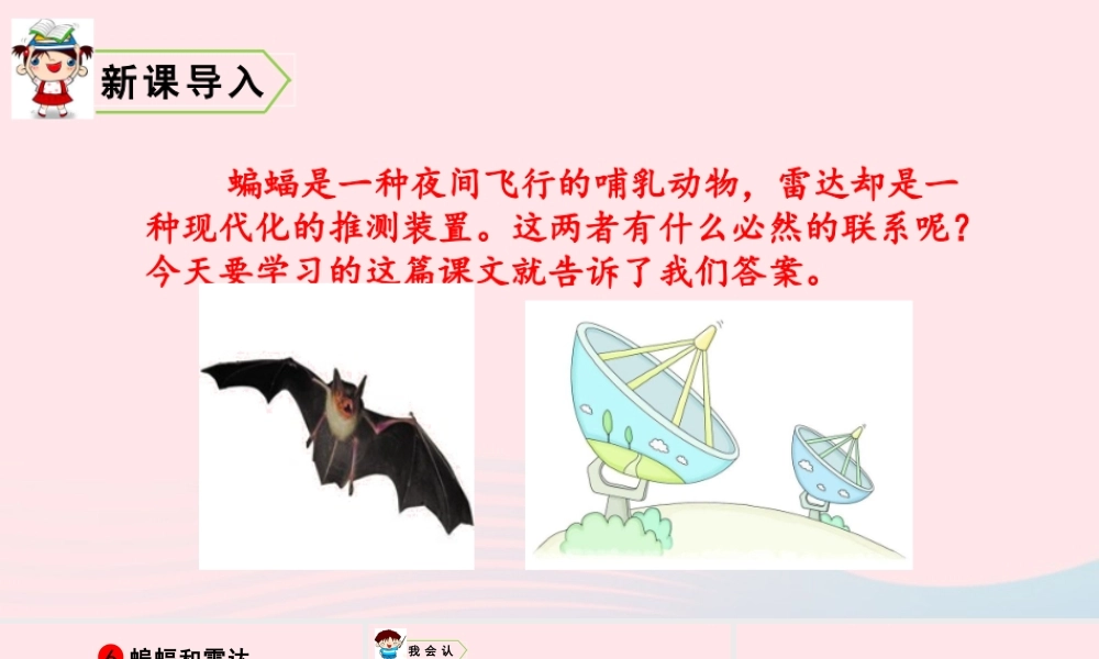 四年级语文上册 第二单元 6 蝙蝠和雷达教学课件 新人教版-新人教版小学四年级上册语文课件