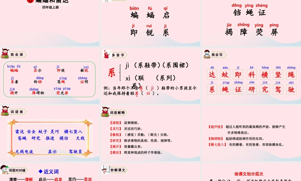 四年级语文上册 第二单元 6 蝙蝠和雷达教学课件 新人教版-新人教版小学四年级上册语文课件