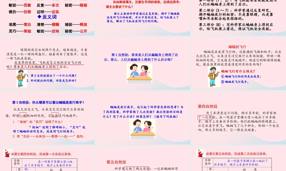 四年级语文上册 第二单元 6 蝙蝠和雷达教学课件 新人教版-新人教版小学四年级上册语文课件