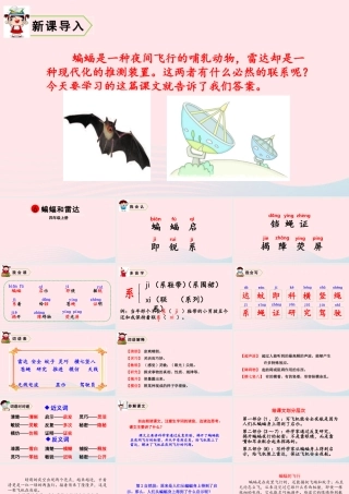 四年级语文上册 第二单元 6 蝙蝠和雷达教学课件 新人教版-新人教版小学四年级上册语文课件
