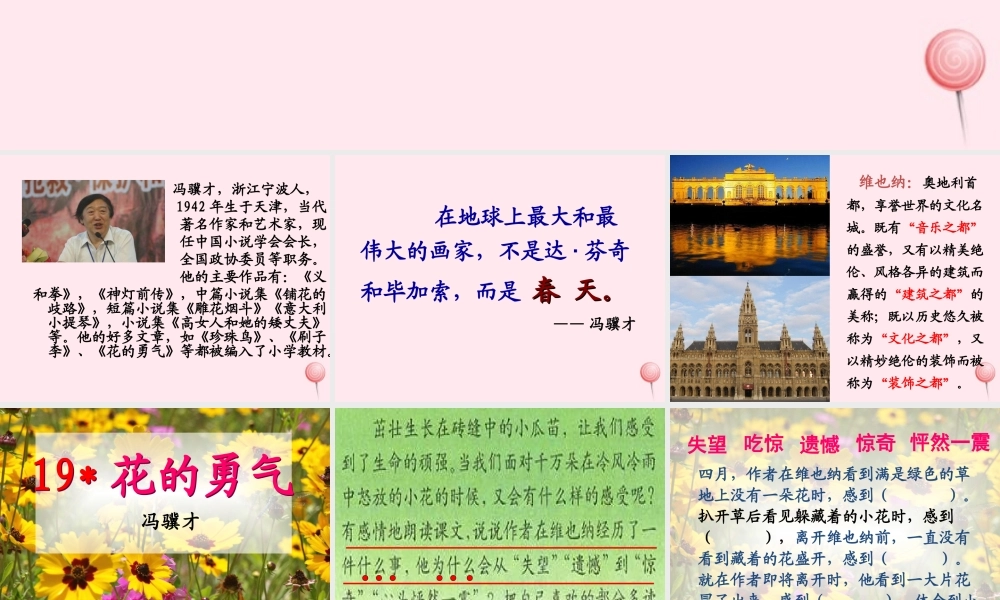 四年级语文下册 第五单元 19《花的勇气》课堂教学课件2 新人教版-新人教版小学四年级下册语文课件