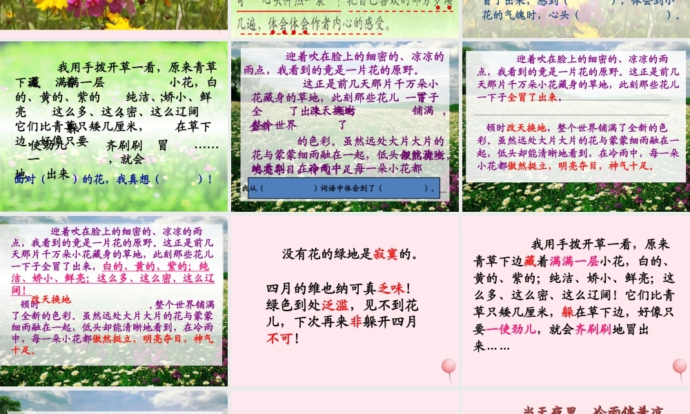 四年级语文下册 第五单元 19《花的勇气》课堂教学课件2 新人教版-新人教版小学四年级下册语文课件