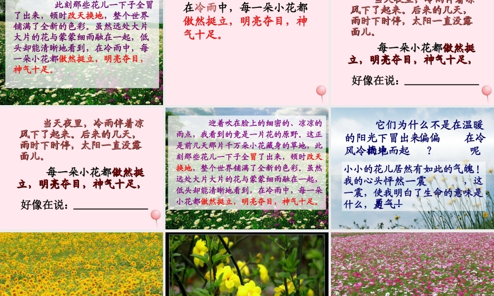 四年级语文下册 第五单元 19《花的勇气》课堂教学课件2 新人教版-新人教版小学四年级下册语文课件