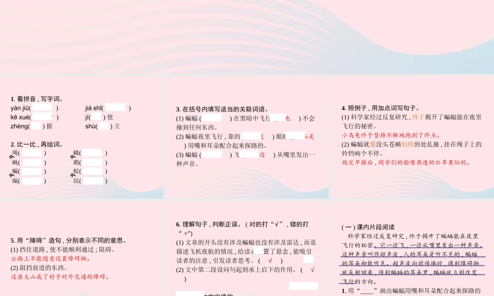 四年级语文上册 第二单元 6 蝙蝠和雷达作业课件 新人教版-新人教版小学四年级上册语文课件