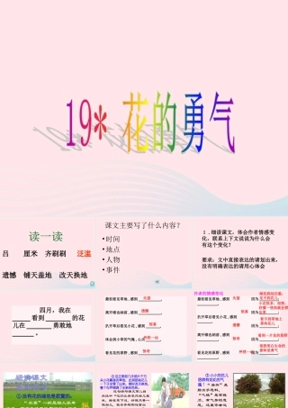 四年级语文下册 第五单元 19《花的勇气》课堂教学课件3 新人教版-新人教版小学四年级下册语文课件