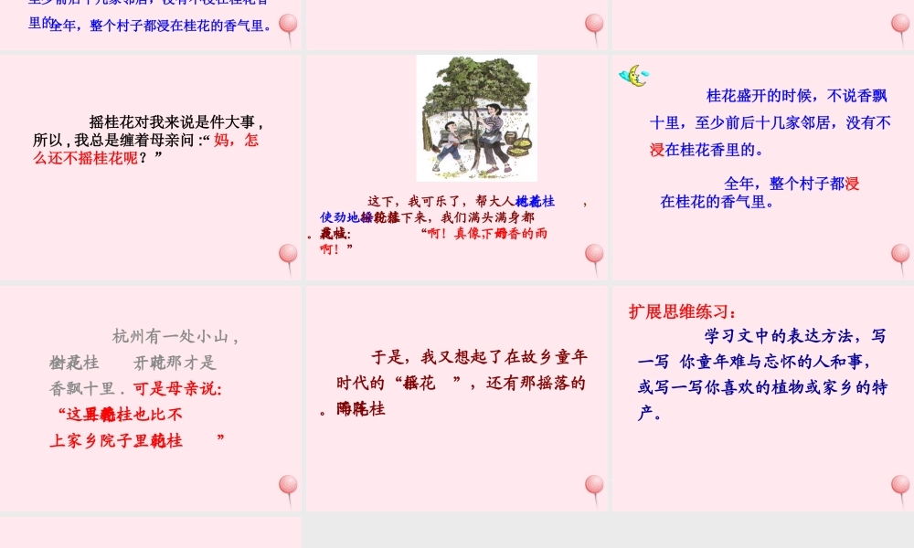 四年级语文上册 第六单元 23《桂花雨》参考课件 鲁教版-鲁教版小学四年级上册语文课件