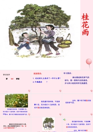 四年级语文上册 第六单元 23《桂花雨》参考课件 鲁教版-鲁教版小学四年级上册语文课件