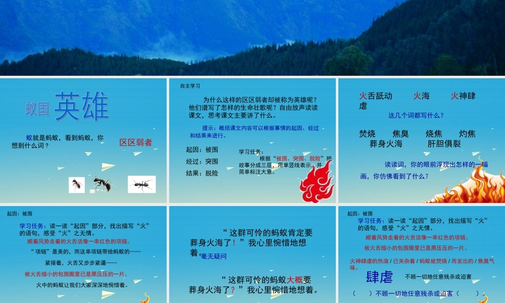 四年级语文下册 17《生命的壮歌》上课课件 苏教版-苏教版小学四年级下册语文课件