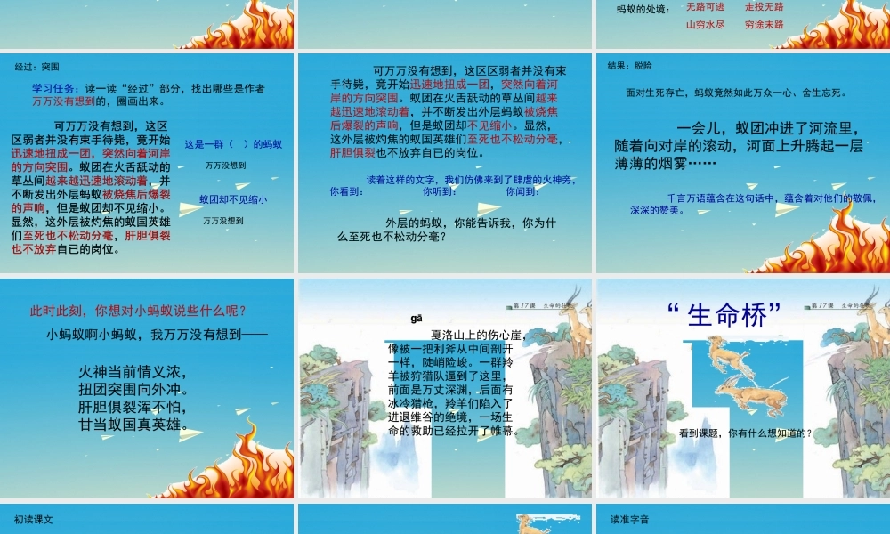 四年级语文下册 17《生命的壮歌》上课课件 苏教版-苏教版小学四年级下册语文课件