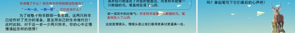 四年级语文下册 17《生命的壮歌》上课课件 苏教版-苏教版小学四年级下册语文课件