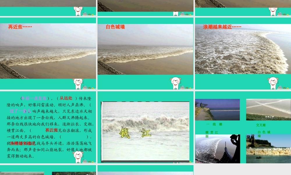 四年级语文上册 第二单元 6 观潮教学课件 语文S版-语文S版小学四年级上册语文课件