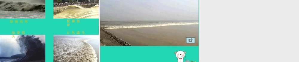 四年级语文上册 第二单元 6 观潮教学课件 语文S版-语文S版小学四年级上册语文课件