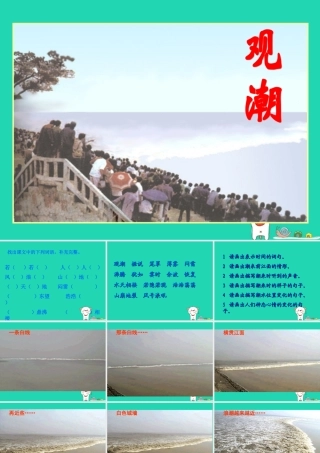 四年级语文上册 第二单元 6 观潮教学课件 语文S版-语文S版小学四年级上册语文课件