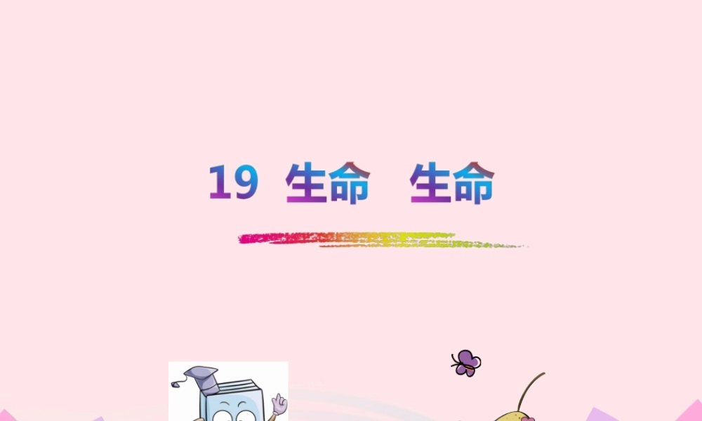 四年级语文下册 第五单元 19生命 生命课件 新人教版-新人教版小学四年级下册语文课件