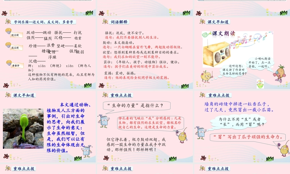 四年级语文下册 第五单元 19生命 生命课件 新人教版-新人教版小学四年级下册语文课件