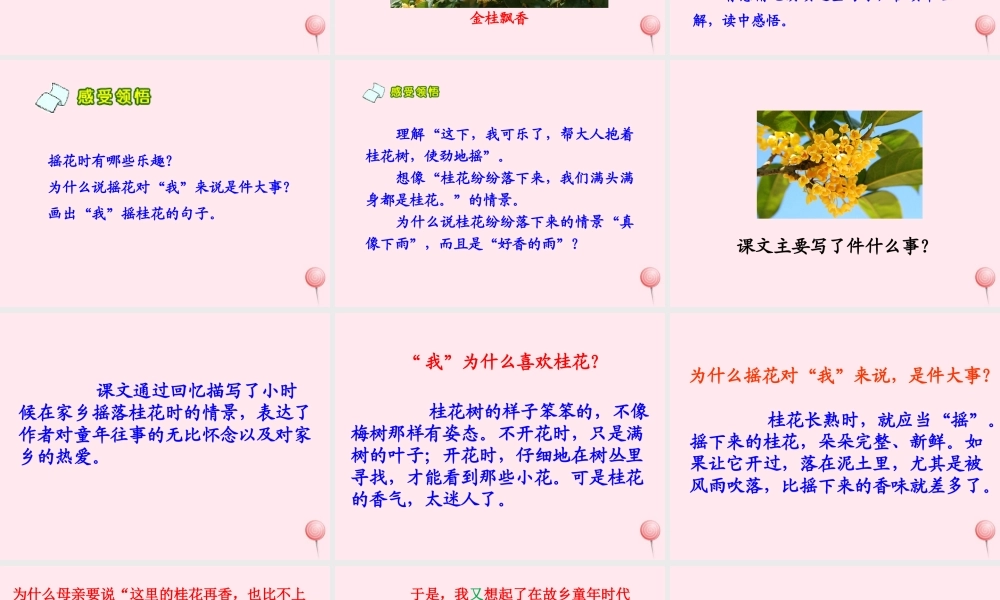 四年级语文上册 第六单元 23《桂花雨》教学课件 鲁教版-鲁教版小学四年级上册语文课件