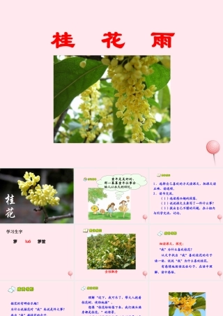 四年级语文上册 第六单元 23《桂花雨》教学课件 鲁教版-鲁教版小学四年级上册语文课件
