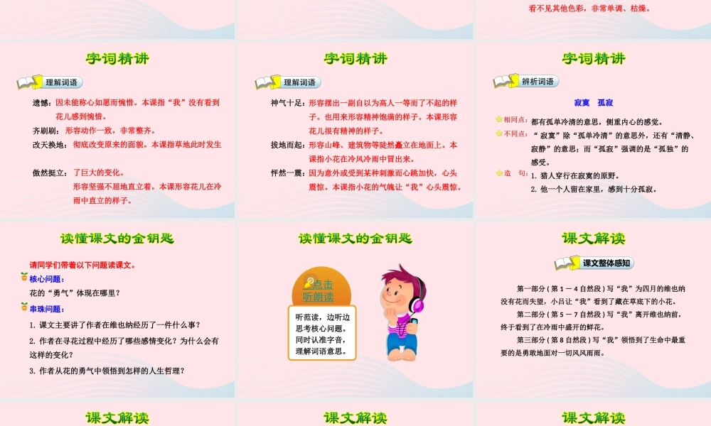 四年级语文下册 第五单元 20 花的勇气（第1课时）课件 新人教版-新人教版小学四年级下册语文课件