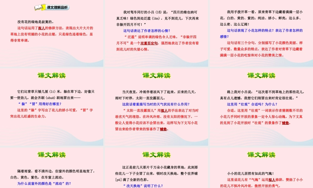 四年级语文下册 第五单元 20 花的勇气（第1课时）课件 新人教版-新人教版小学四年级下册语文课件