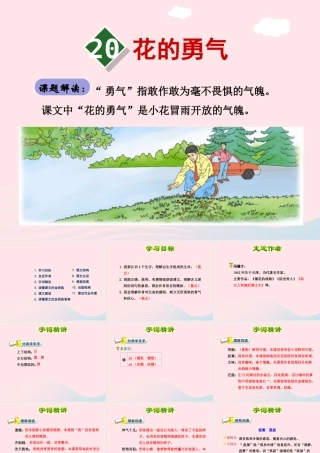 四年级语文下册 第五单元 20 花的勇气（第1课时）课件 新人教版-新人教版小学四年级下册语文课件