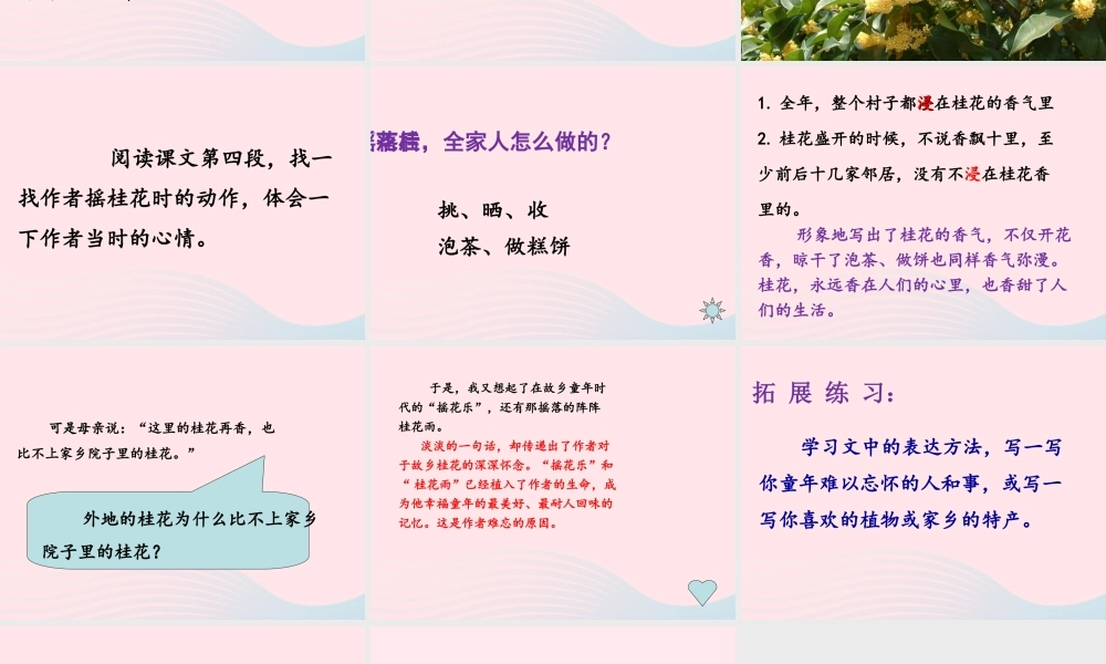 四年级语文上册 第六单元 23《桂花雨》优培课件 鲁教版-鲁教版小学四年级上册语文课件