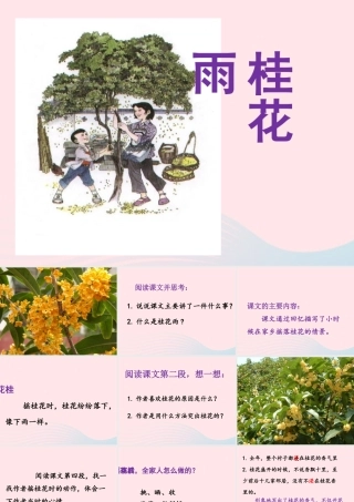 四年级语文上册 第六单元 23《桂花雨》优培课件 鲁教版-鲁教版小学四年级上册语文课件