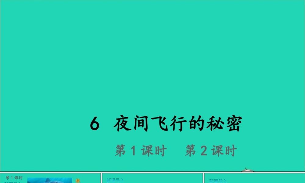 四年级语文上册 第二单元 6 夜间飞行的秘密课件