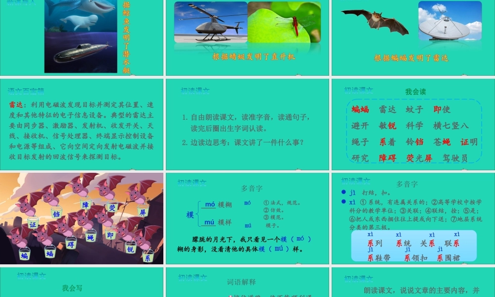 四年级语文上册 第二单元 6 夜间飞行的秘密课件