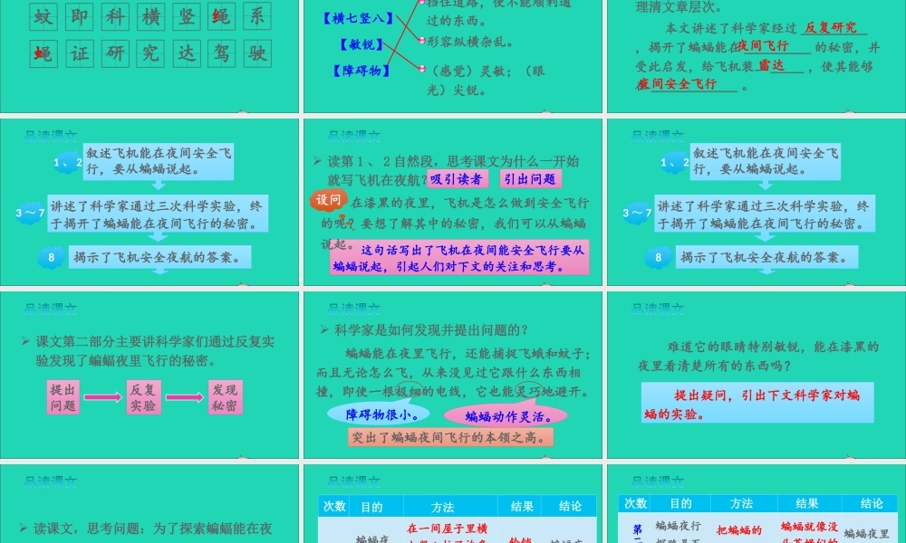 四年级语文上册 第二单元 6 夜间飞行的秘密课件