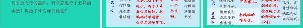 四年级语文上册 第二单元 6 夜间飞行的秘密课件